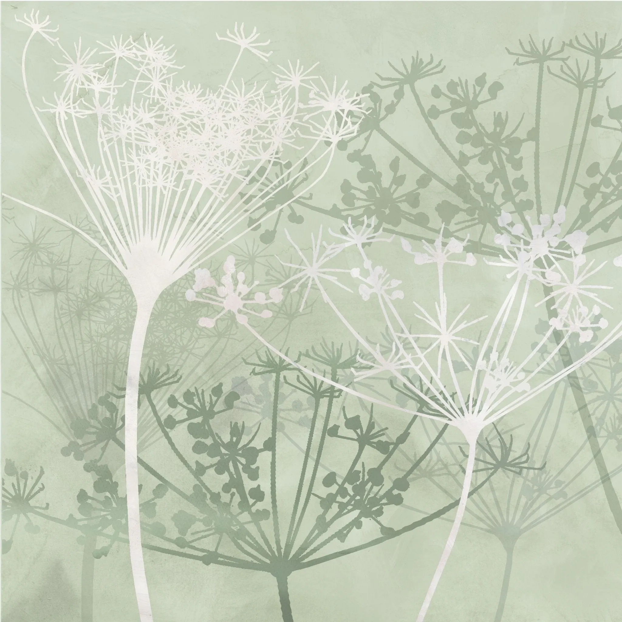 Wild Botanicals Porcelain Green By Clarissa Hulse