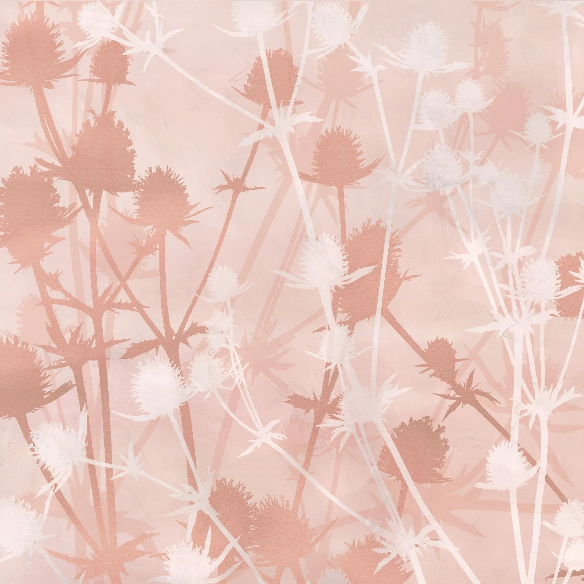 Wild Botanicals Porcelain Pink By Clarissa Hulse