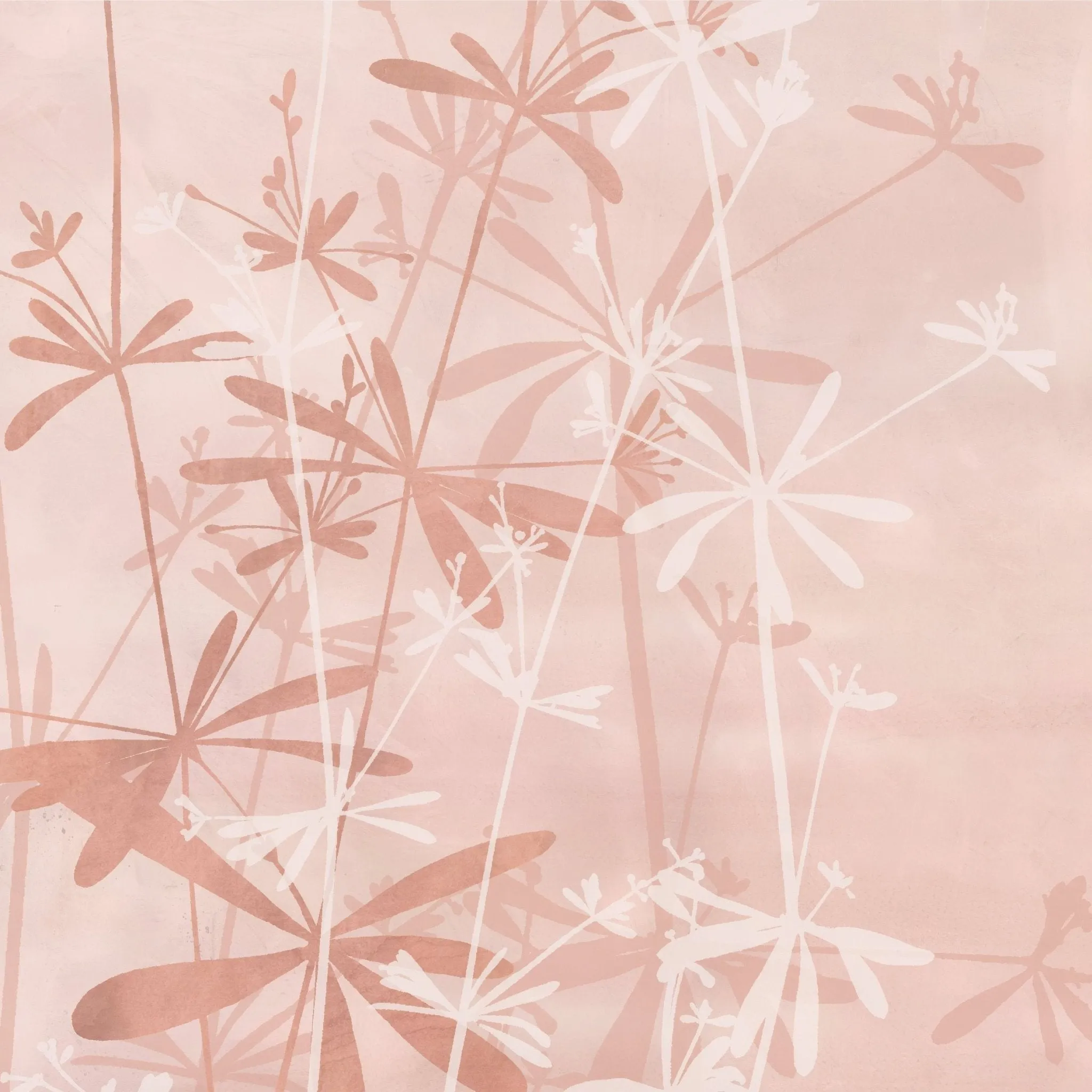 Wild Botanicals Porcelain Pink By Clarissa Hulse