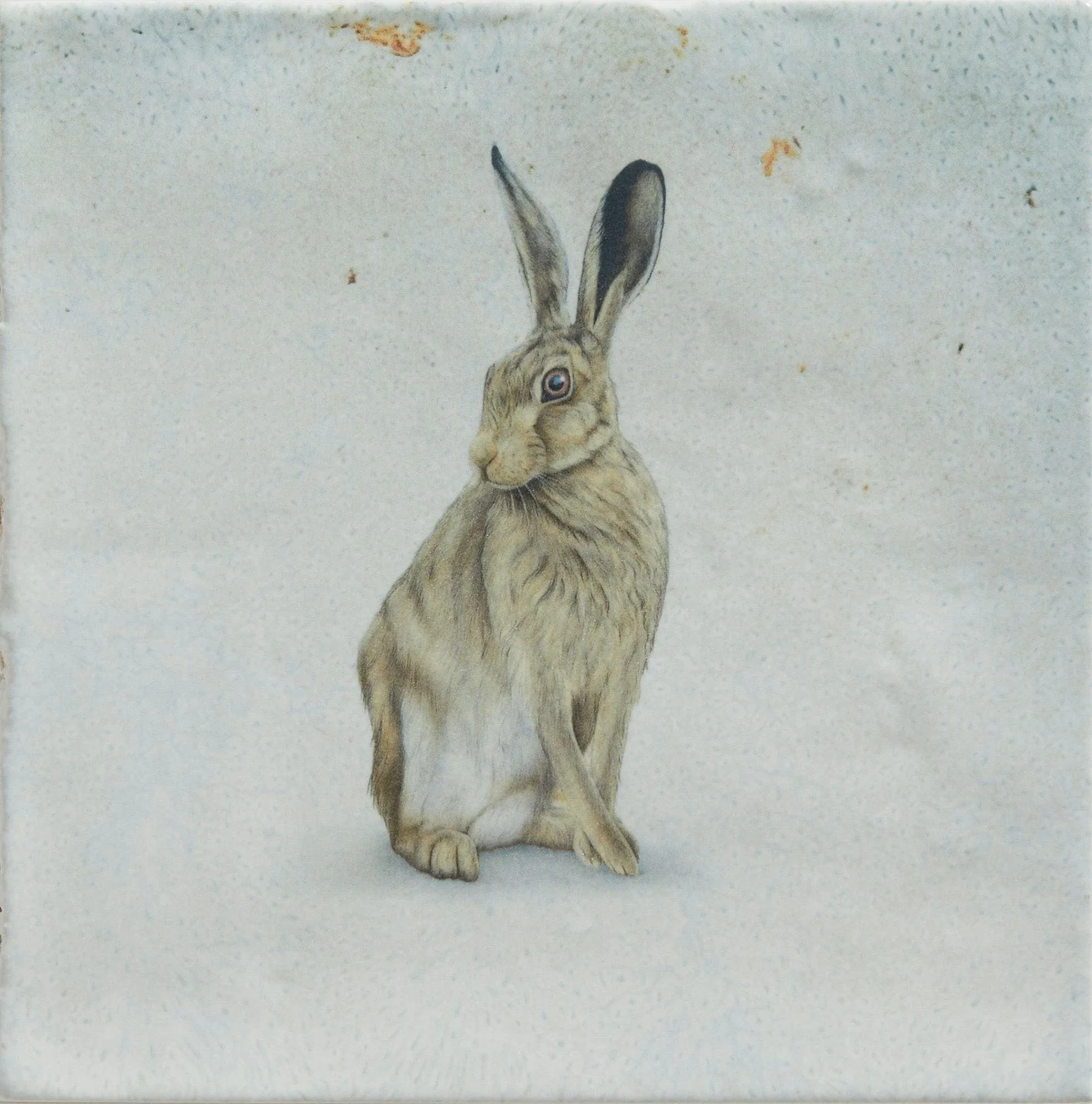 Wiltshire Hares By Joanna May