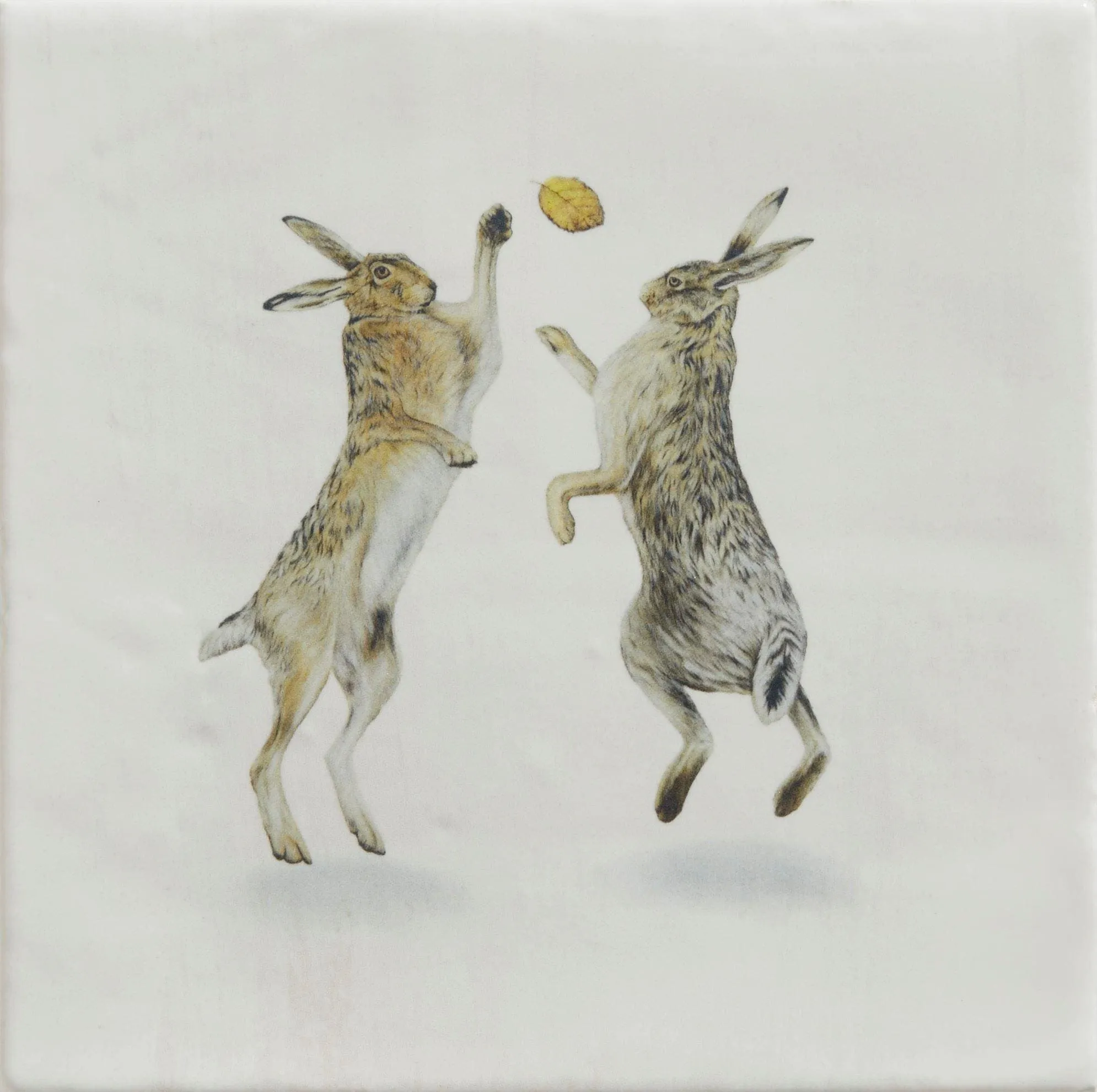 Wiltshire Hares By Joanna May