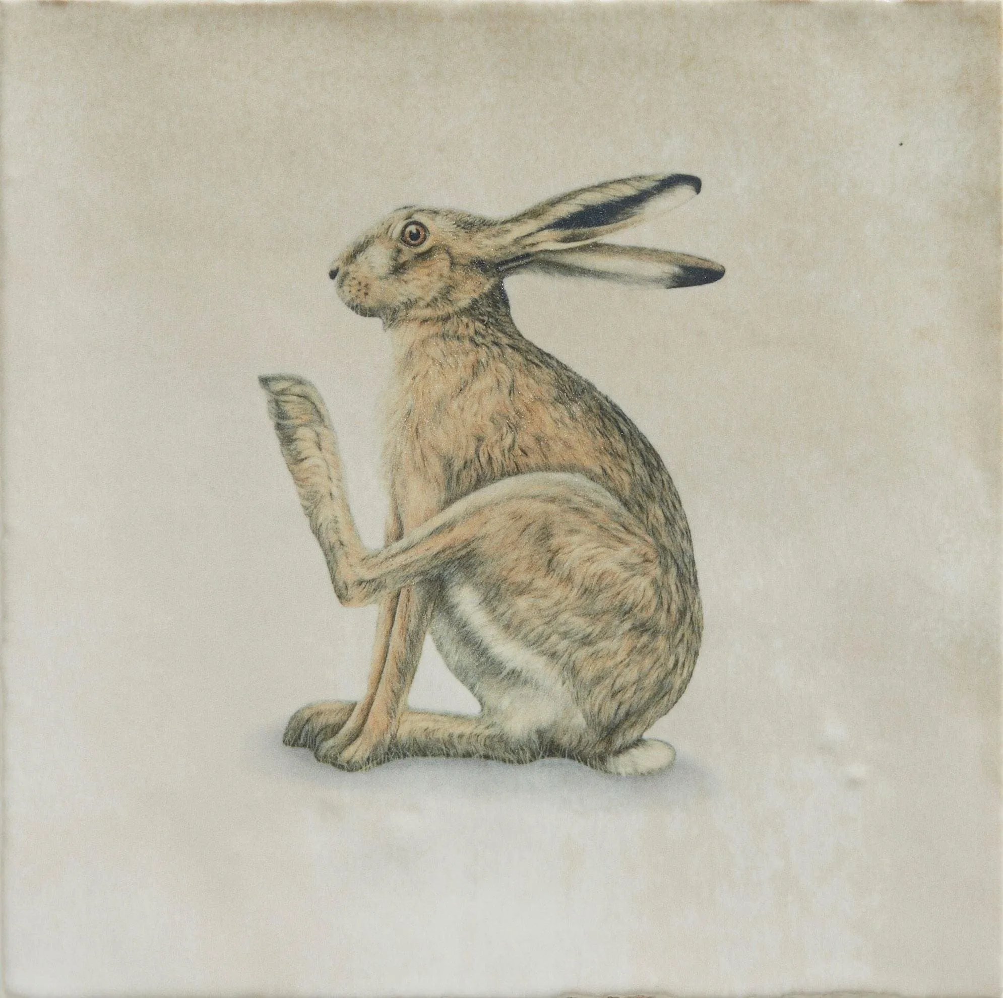 Wiltshire Hares By Joanna May