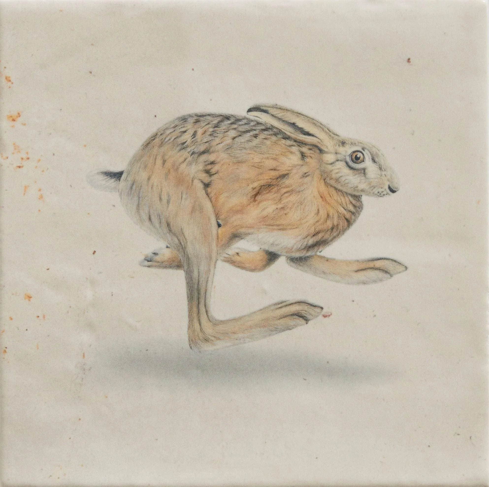 Wiltshire Hares By Joanna May